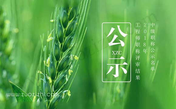 工程师职称评审结果