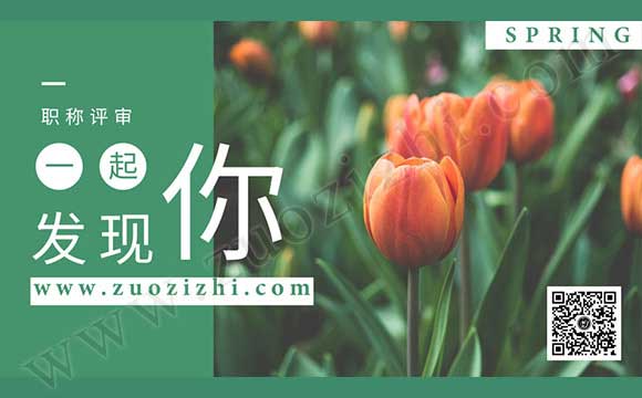 2019年中级工程师报名