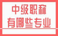 中级职称有哪些专业？河北新版专业一览表来了！