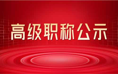 高级职称申报结果