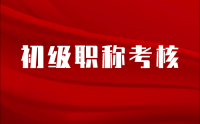 工程实践能力，在初级职称考核中的评价方式及考察重点