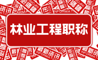 2023年新版：河北省工程系列林业专业工程师职称申报评审条件